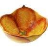 Verace Medium Pumkin Bowl -Ceramic Shop EB 121 3005 scaled 1