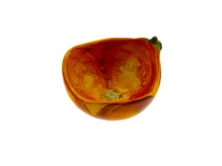 Verace Small Pumkin Bowl