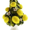Lemon Ceramic Tree -Ceramic Shop O 15 0215 LEMON scaled 1